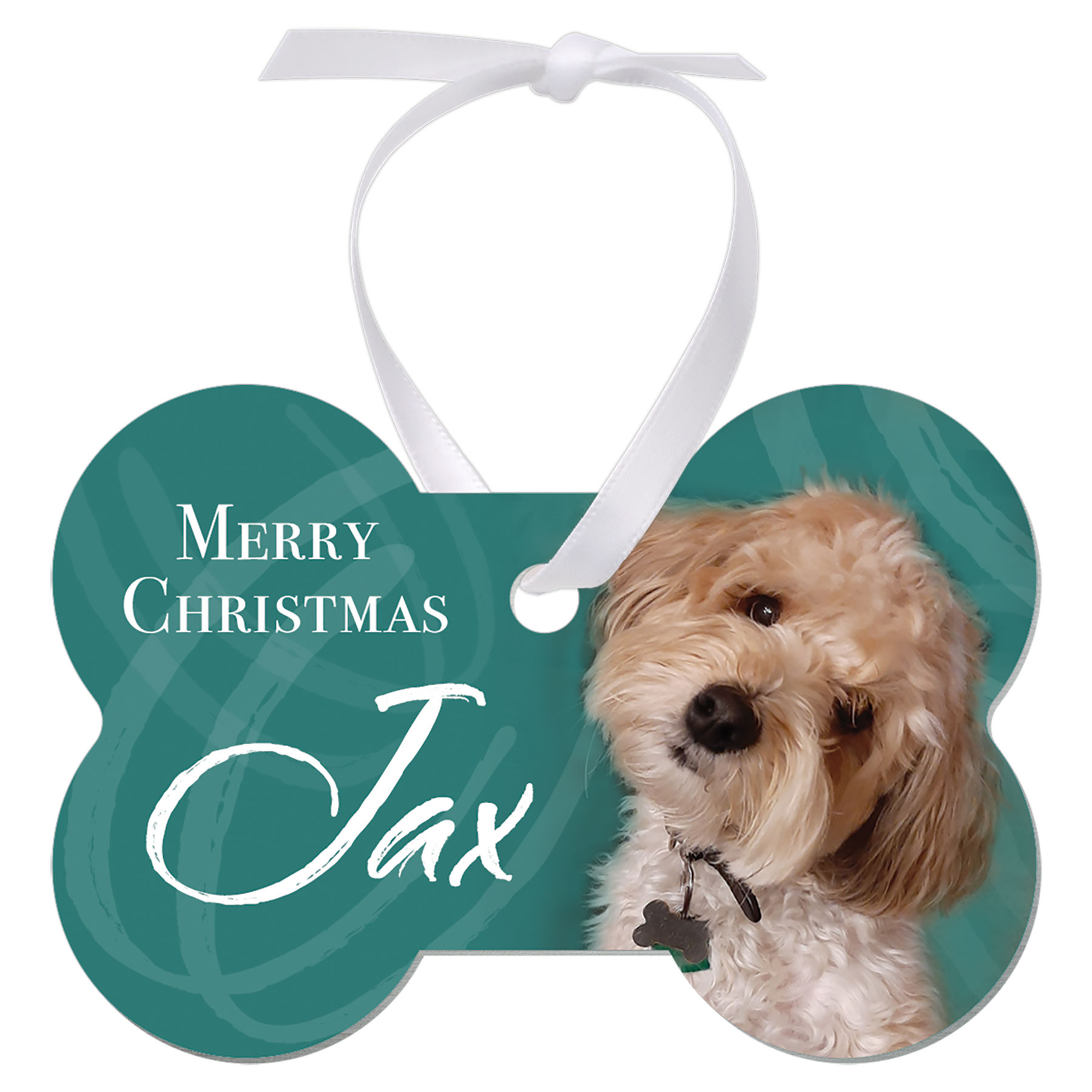 Dog Bone Ornament — Aluminum